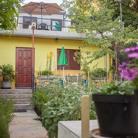 Apartment Pipo Rijeka Eksteriør billede