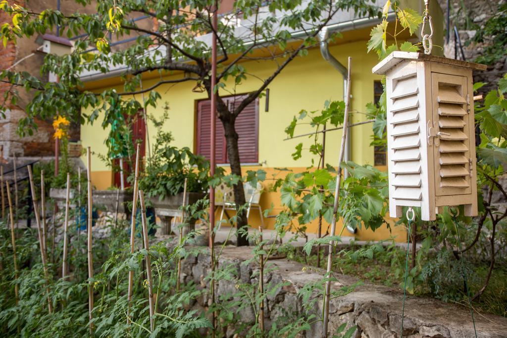 Apartment Pipo Rijeka Eksteriør billede